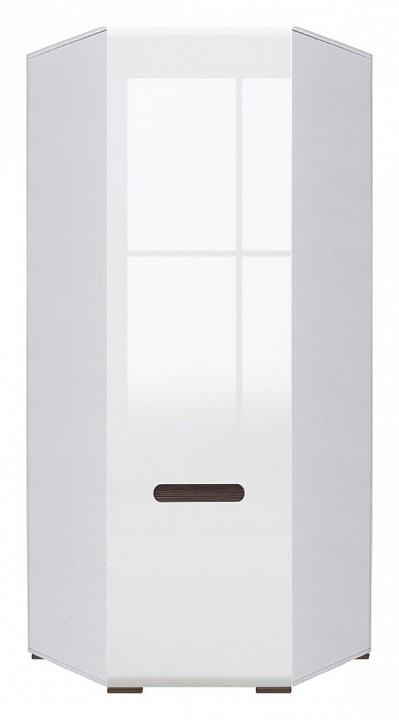 Шкаф платяной Ацтека SZFN1D/21/10 белый BRW_70001785