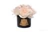 96CN-RB621 Диффузор Five Rose Blush, спрей Rose oud 10мл в уп.