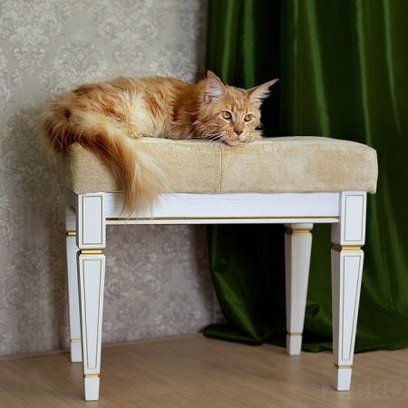 Банкетка Васко В 97Н золото, ясень белый ML_4607130887875