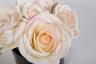 96CN-RB62 Диффузор Five Rose Pink, спрей Pink Peonies 10мл в уп.