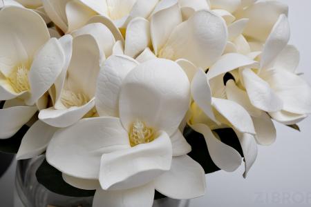 96CN-RG0005 Диффузор Magnolia white , спрей Winter in Chatou 2*10 ml в упак.