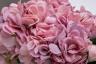 96CN-RB0040 Диффузор Hydrangea&Rosebud mauve , спрей Charente rose 2*10ml в упак.